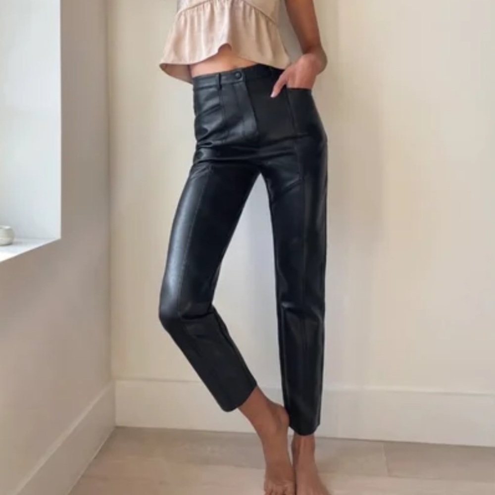 Aritzia vegan leather rebel pants